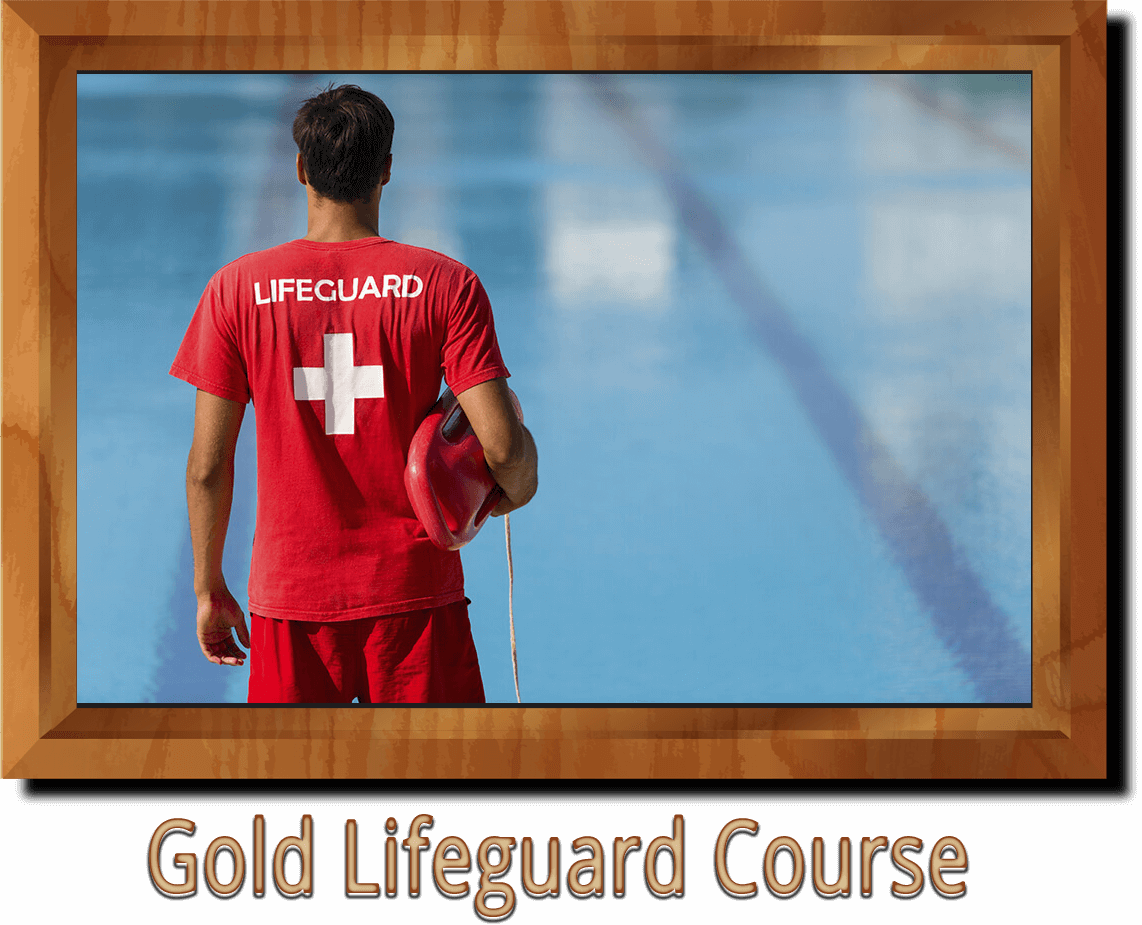 Gold Lifeguard Course