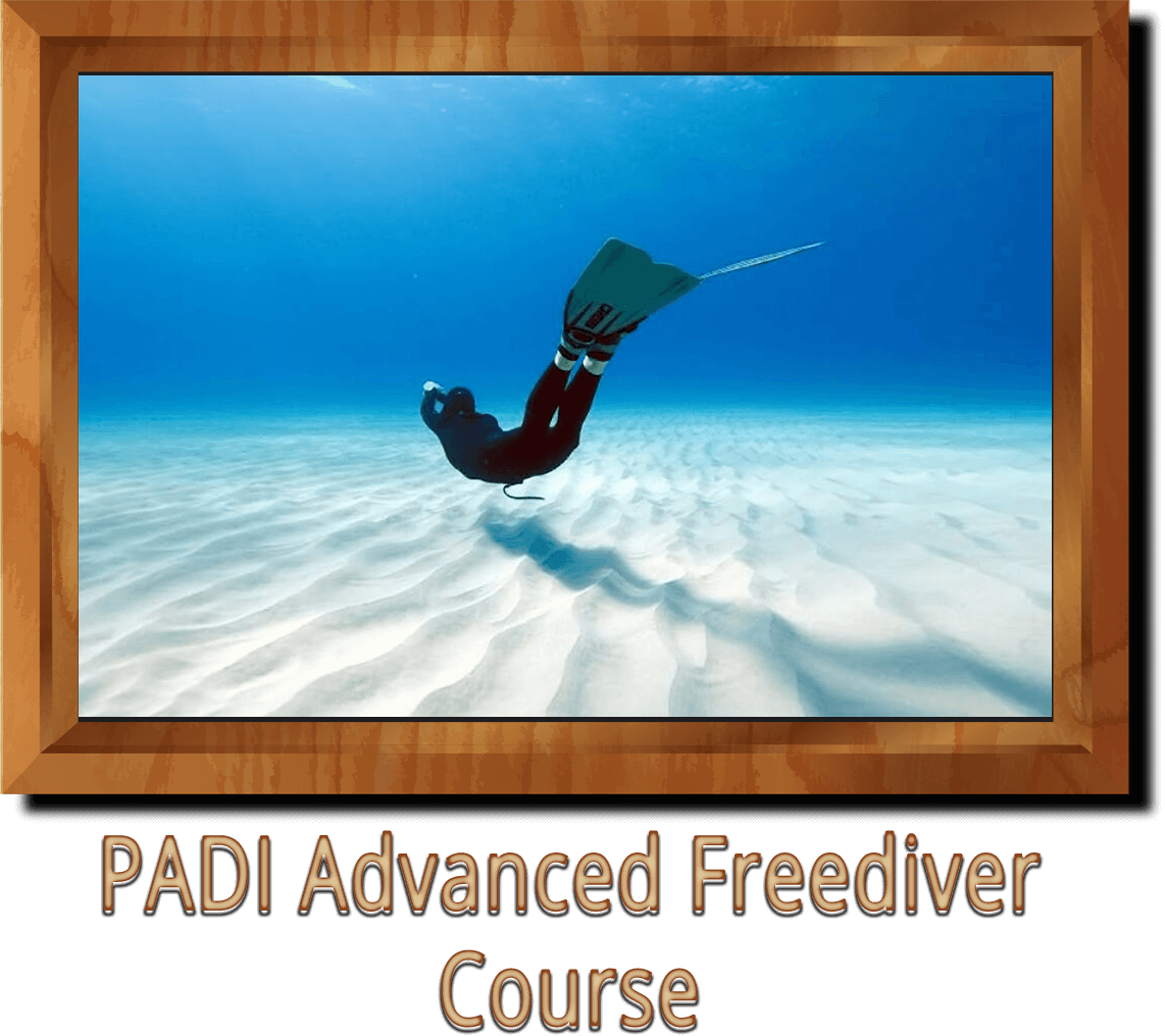 PADI Advanced Freediver Course Ankara