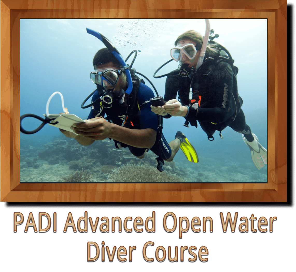 PADI Advanced Open Water Diver Course Ankara