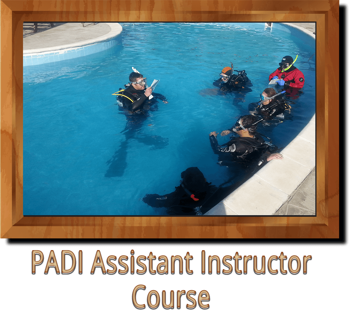 PADI Assitant Instructor Course Ankara