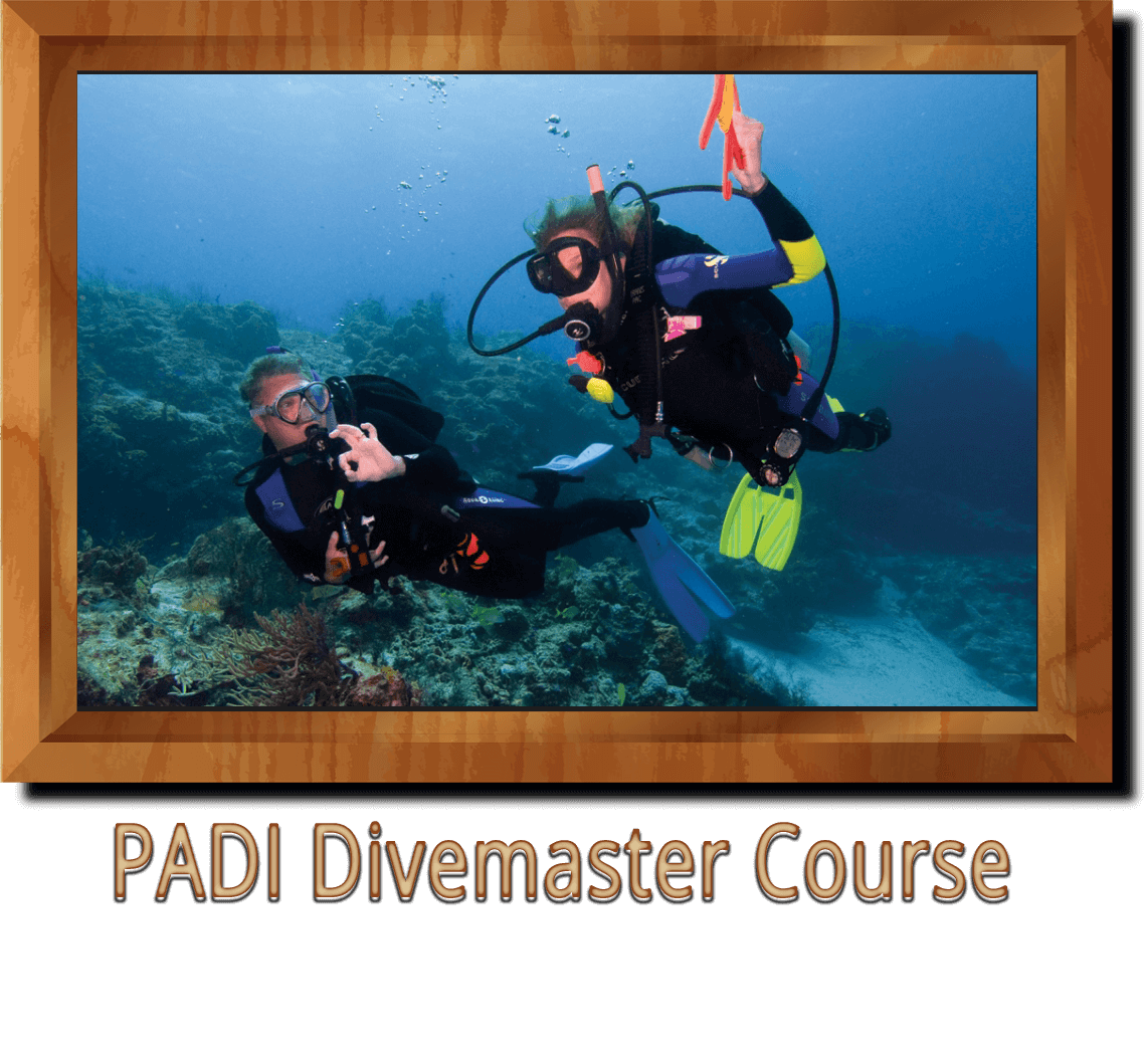 PADI Divemaster Course Ankara