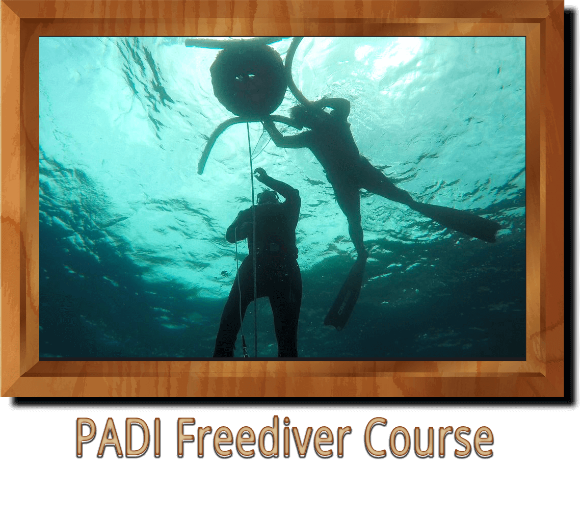 PADI Freediver Course Ankara