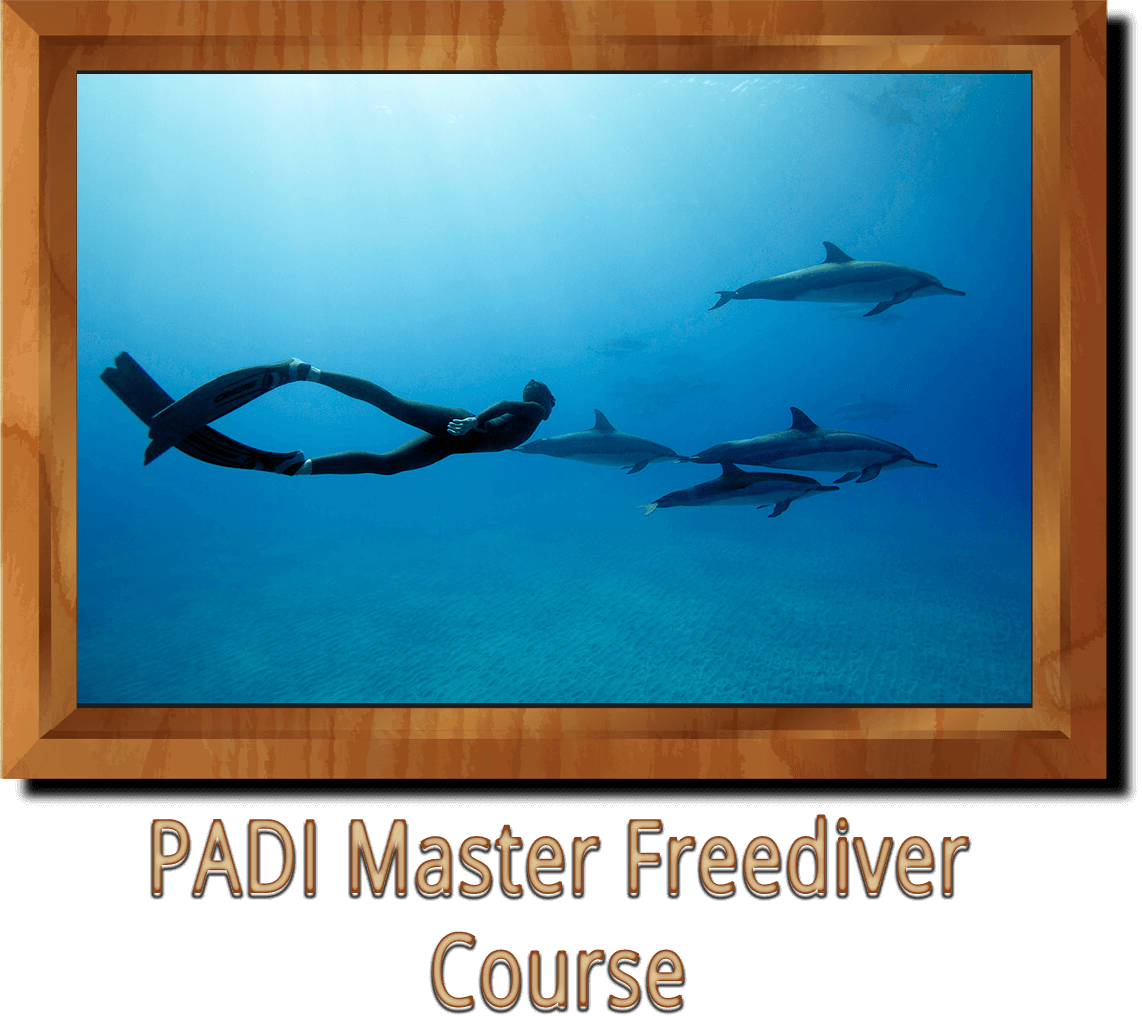 PADI Master Freediver Course Ankara