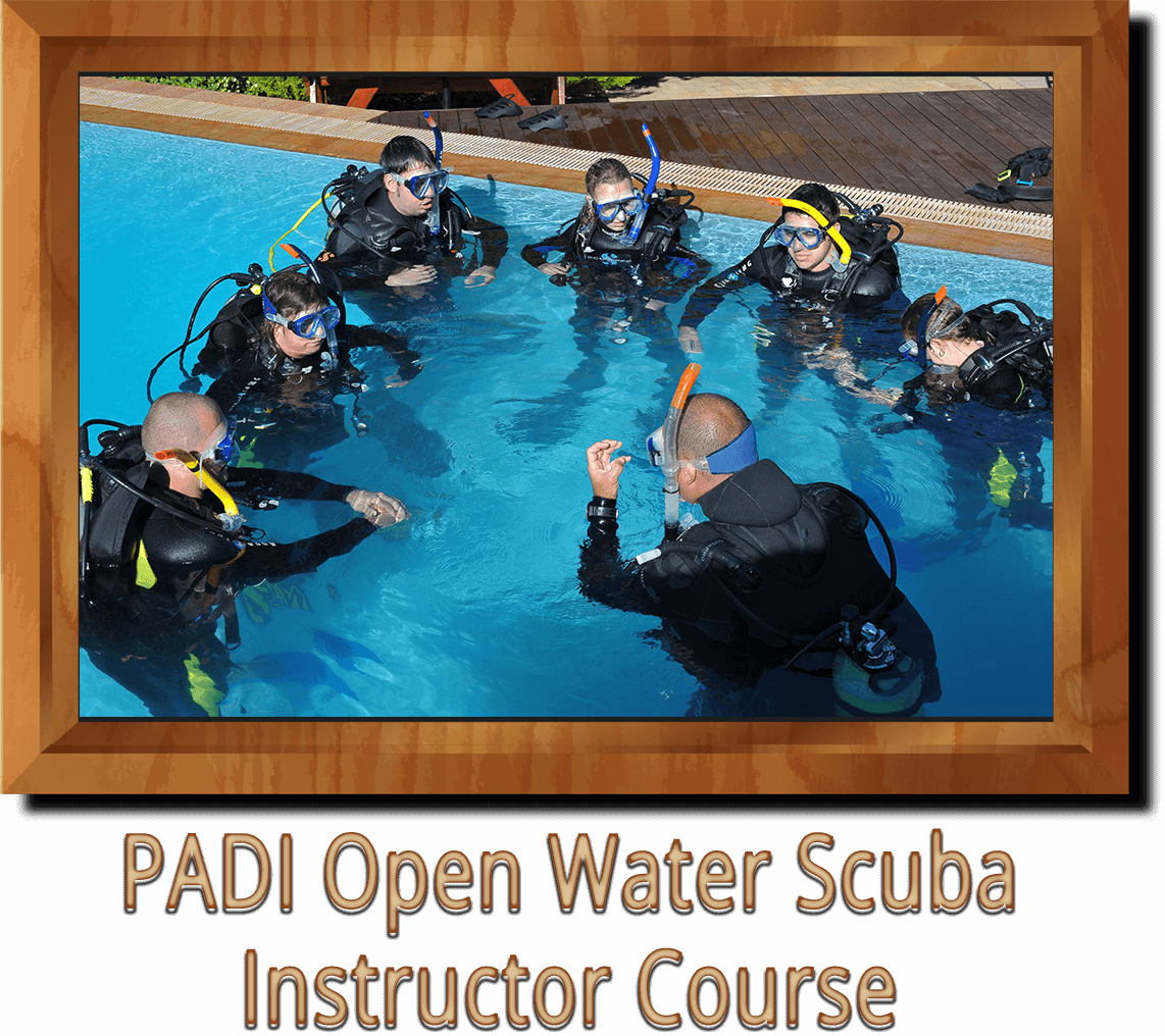 PADI Open Water Scuba Instructor Course Ankara