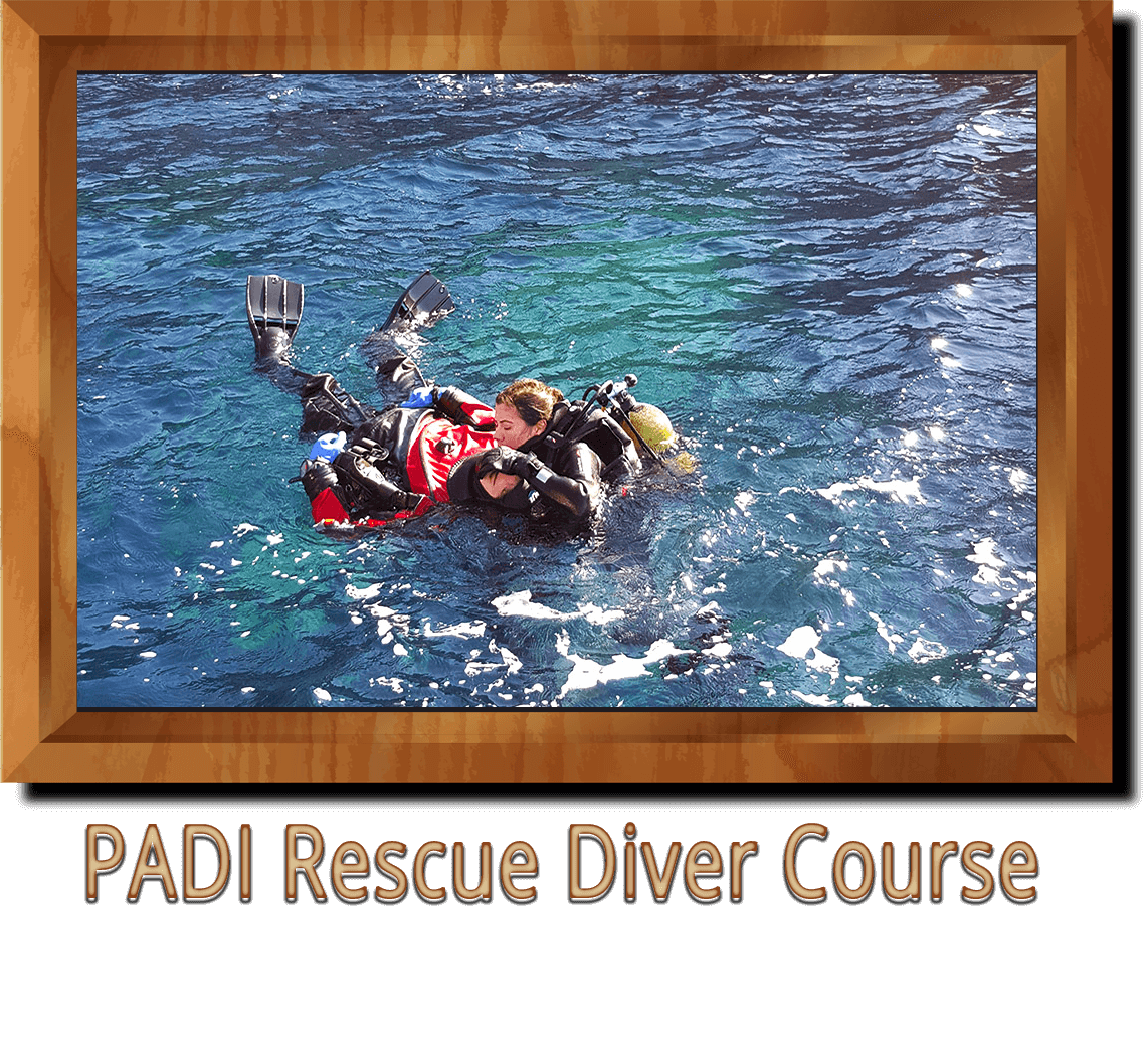 PADI Rescue Diver Course Ankara