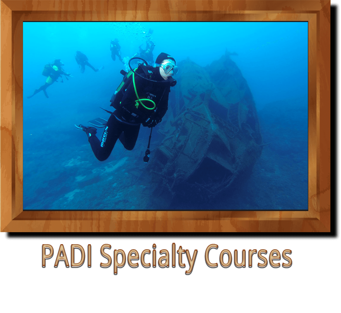 PADI Specialty Courses Ankara