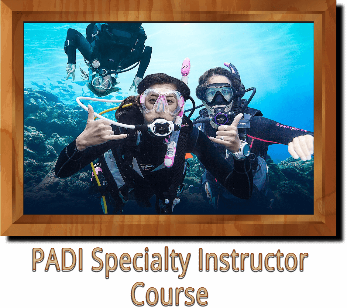 PADI Specialty Instructor Course Ankara