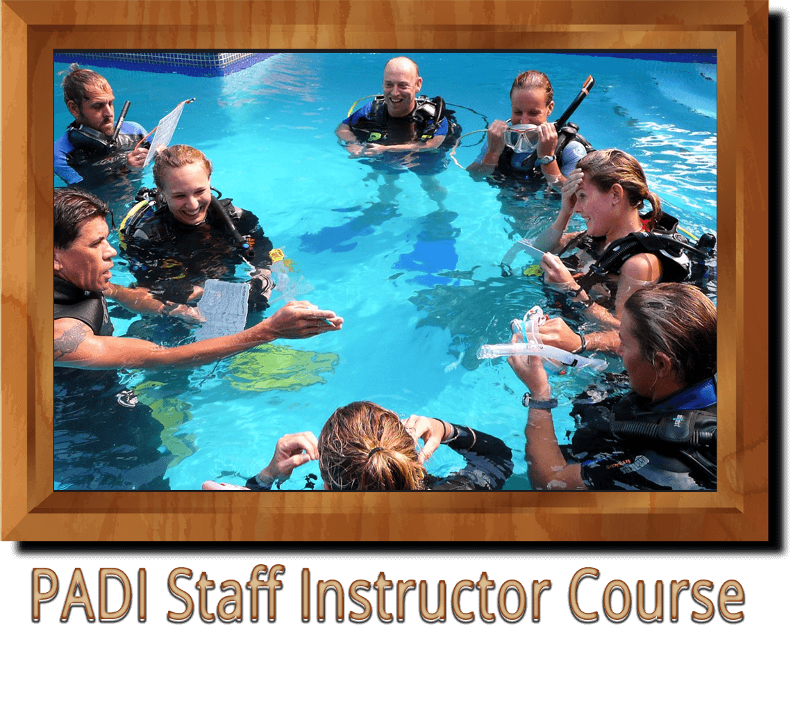 PADI Staff Instructor Course Ankara