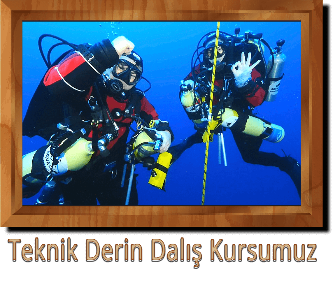 Teknik Derin Dalis Kursu Ankara