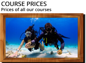 Course Price landingpage