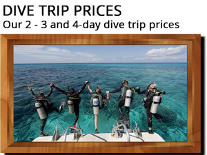Dive trip prices landing page