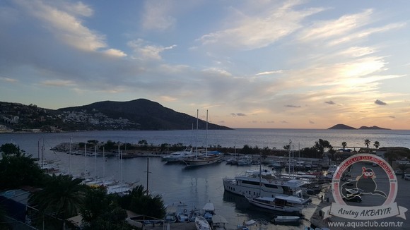 Kasim2016Kalkan7 (1)